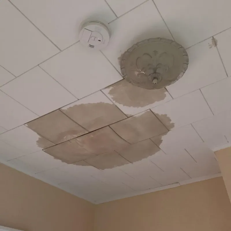 Ceiling Water Damage Repair in Kings Grant, NC