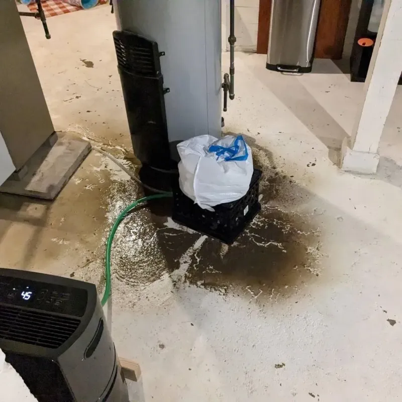 Sewage Backup Cleanup Service in Kings Grant, NC